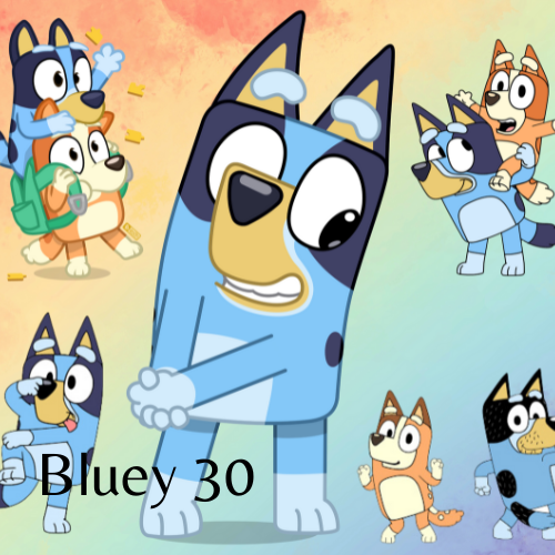 20 oz Skinny Tumbler - Bluey