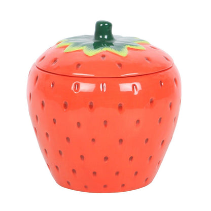 Strawberry Oil Burner/Wax Melter