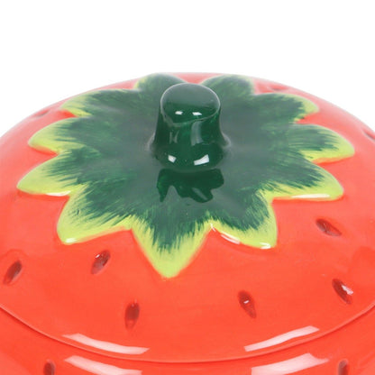 Strawberry Oil Burner/Wax Melter