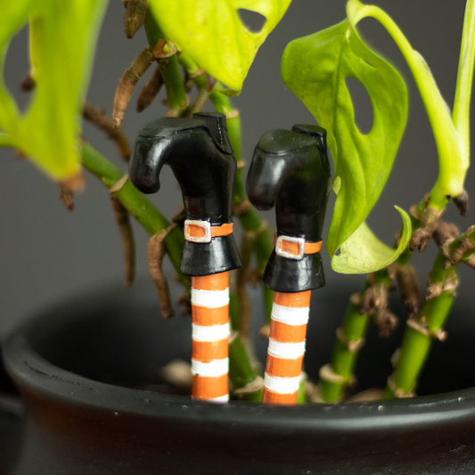Halloween / Autumn - Set of 2 Witch Leg Plant Pot Ornaments