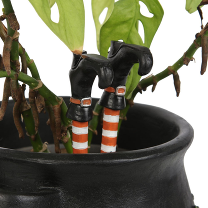 Halloween / Autumn - Set of 2 Witch Leg Plant Pot Ornaments