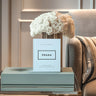 The Little Guide To - Designer DIsplay Books